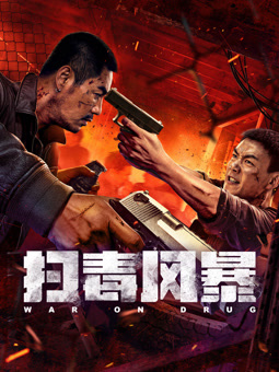 扫毒风暴2025：封面图