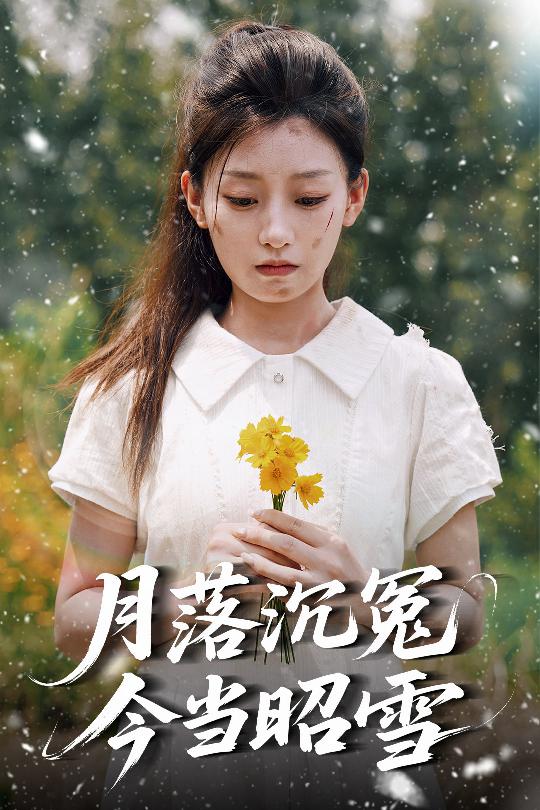 月落沉冤今当昭雪的封面海报