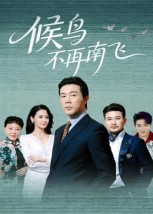 候鸟不再南飞封面图