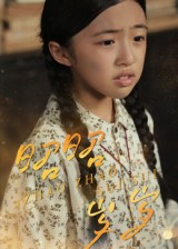 昭昭岁岁的封面海报