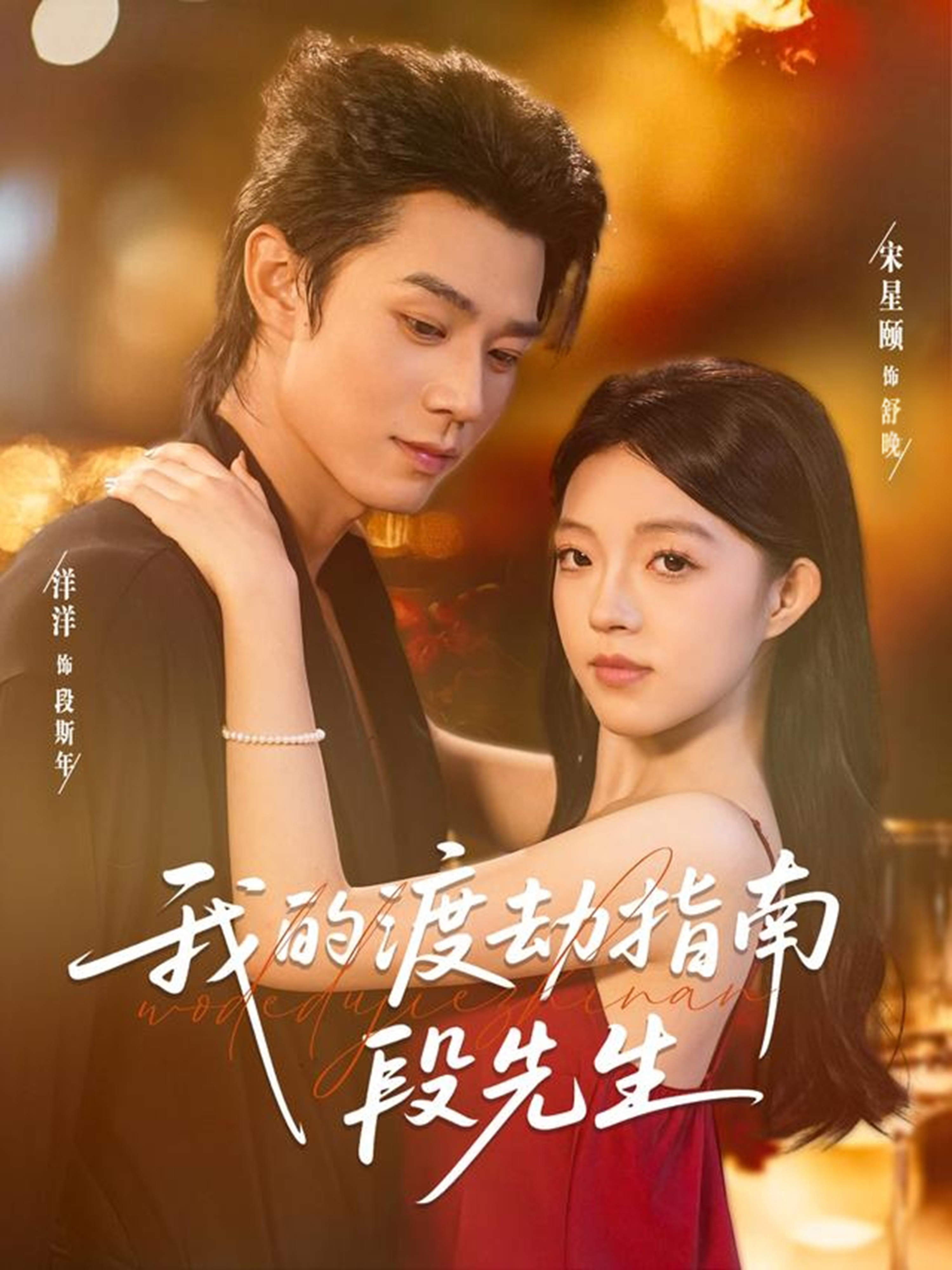 我的渡劫指南段先生的封面海报