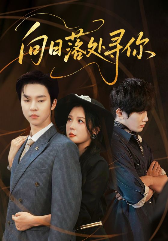 向日落处寻你的封面海报