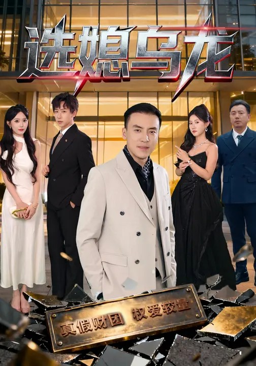 选媳乌龙的封面海报