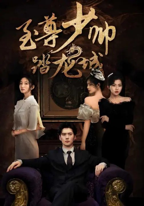 至尊少帅踏龙城的封面海报