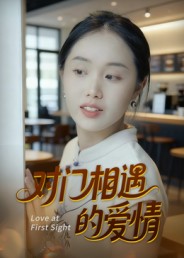对门相遇的爱情的封面海报