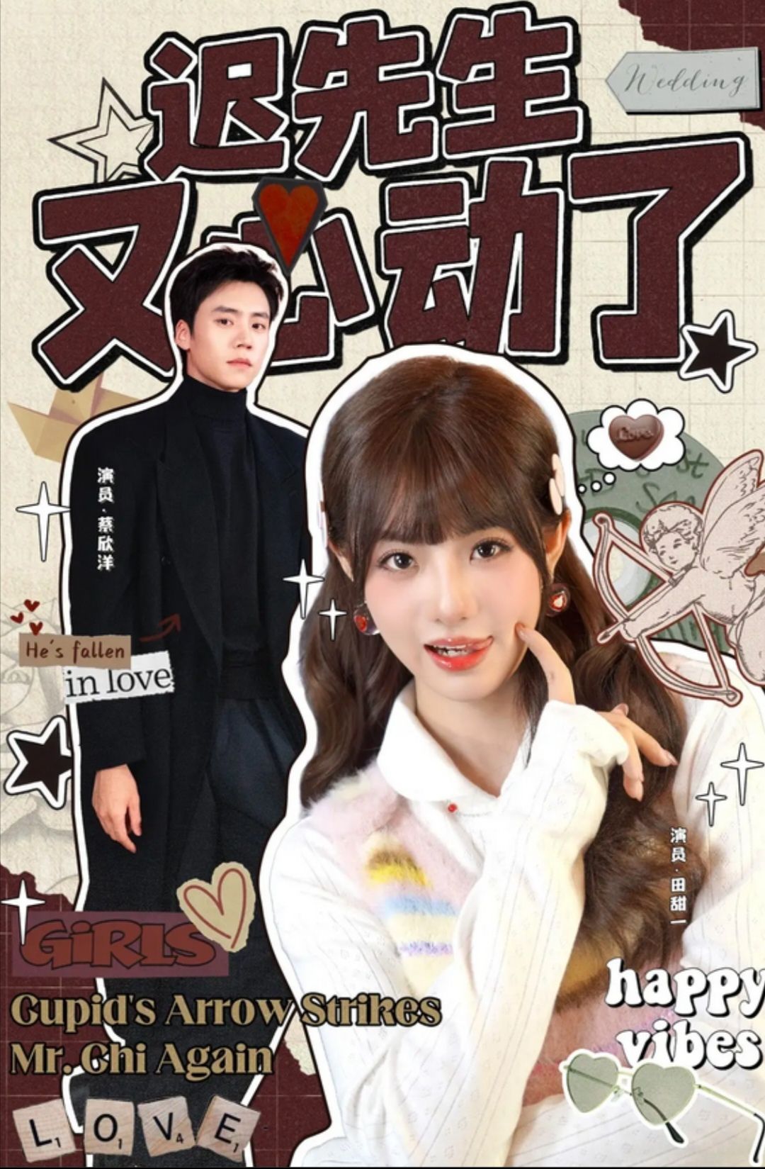 迟先生又心动了的封面海报