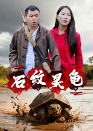 石纹灵龟的封面海报
