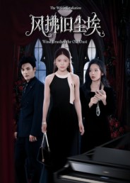 风拂旧尘埃的封面海报