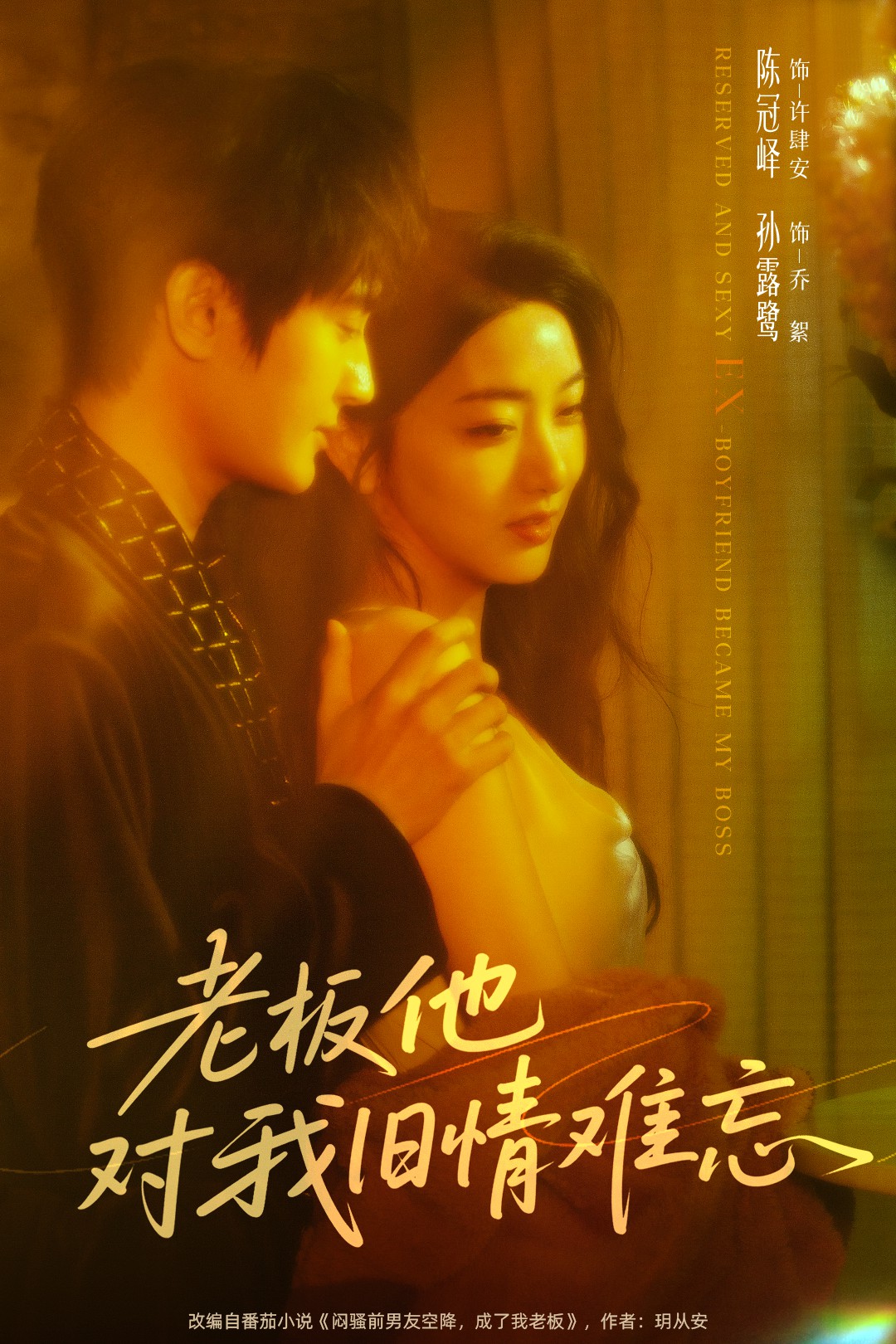 老板他对我旧情难忘的封面海报