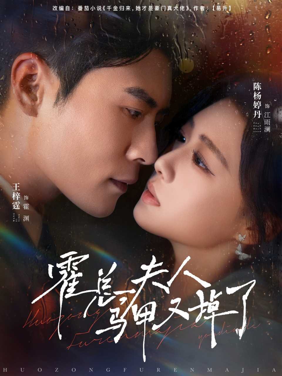 霍总夫人马甲又掉了的封面海报