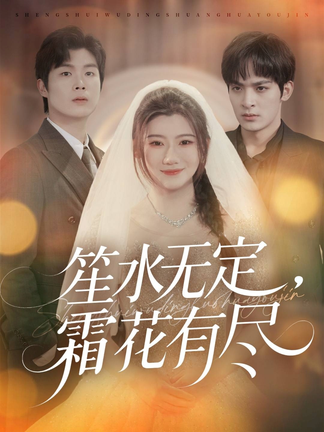 笙水无定霜花有尽封面图