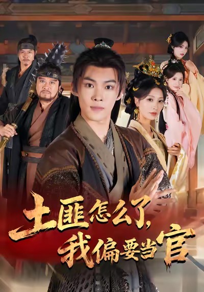 土匪怎么了，我偏要当官的封面海报