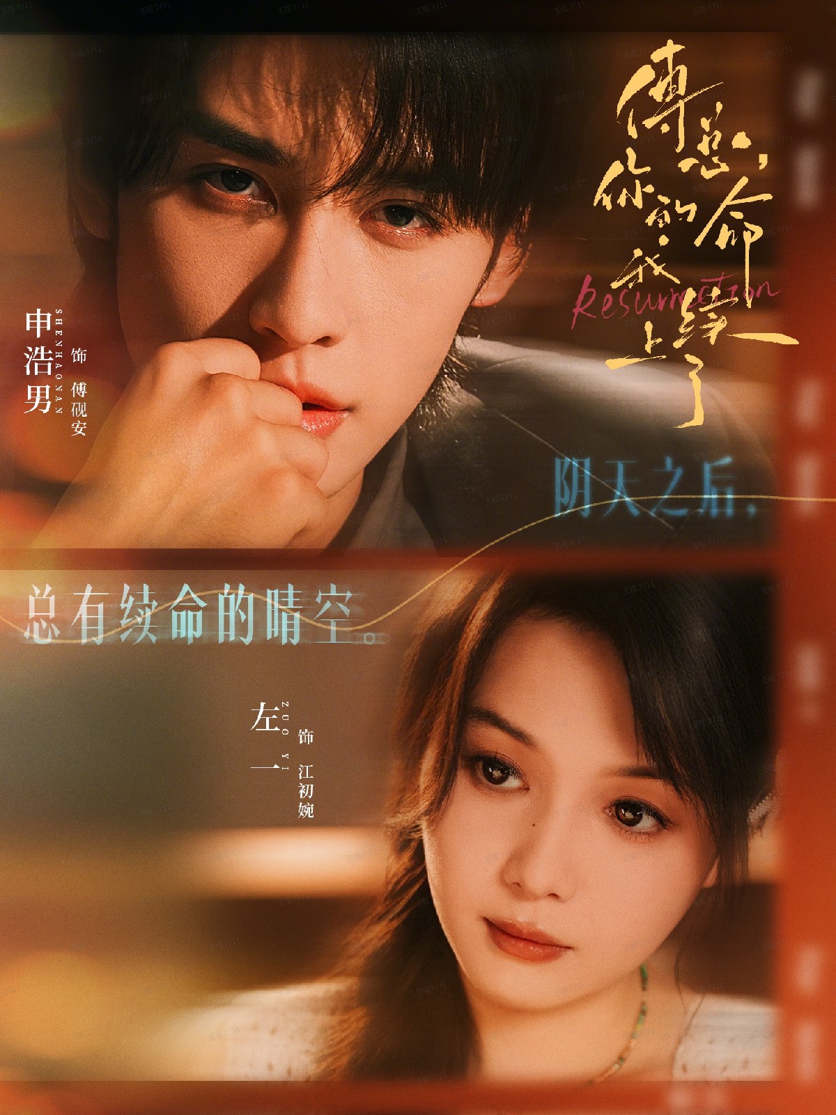 傅总,你的命我续上了