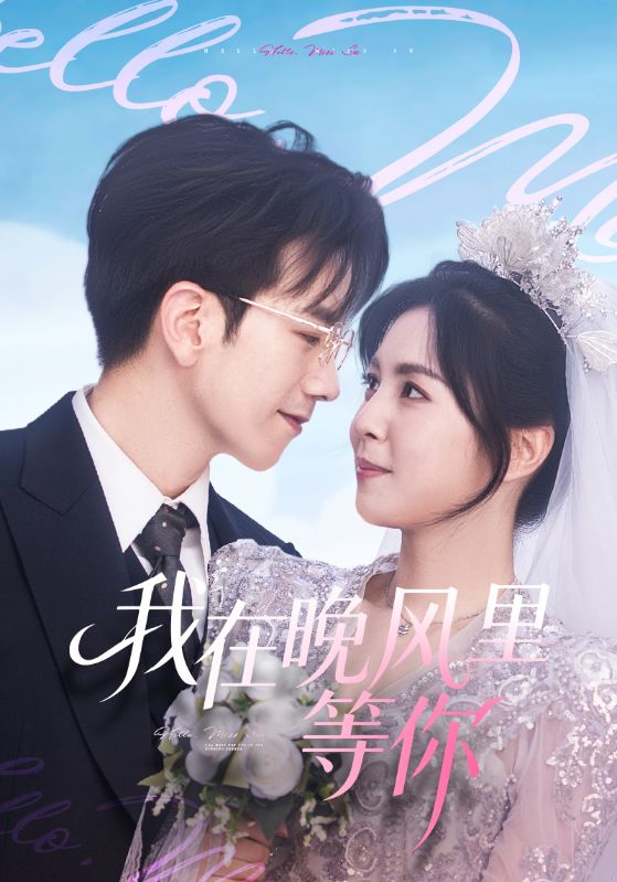 我在晚風里等你