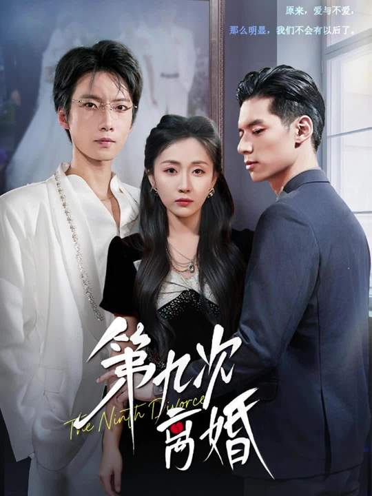 第九次离婚封面图