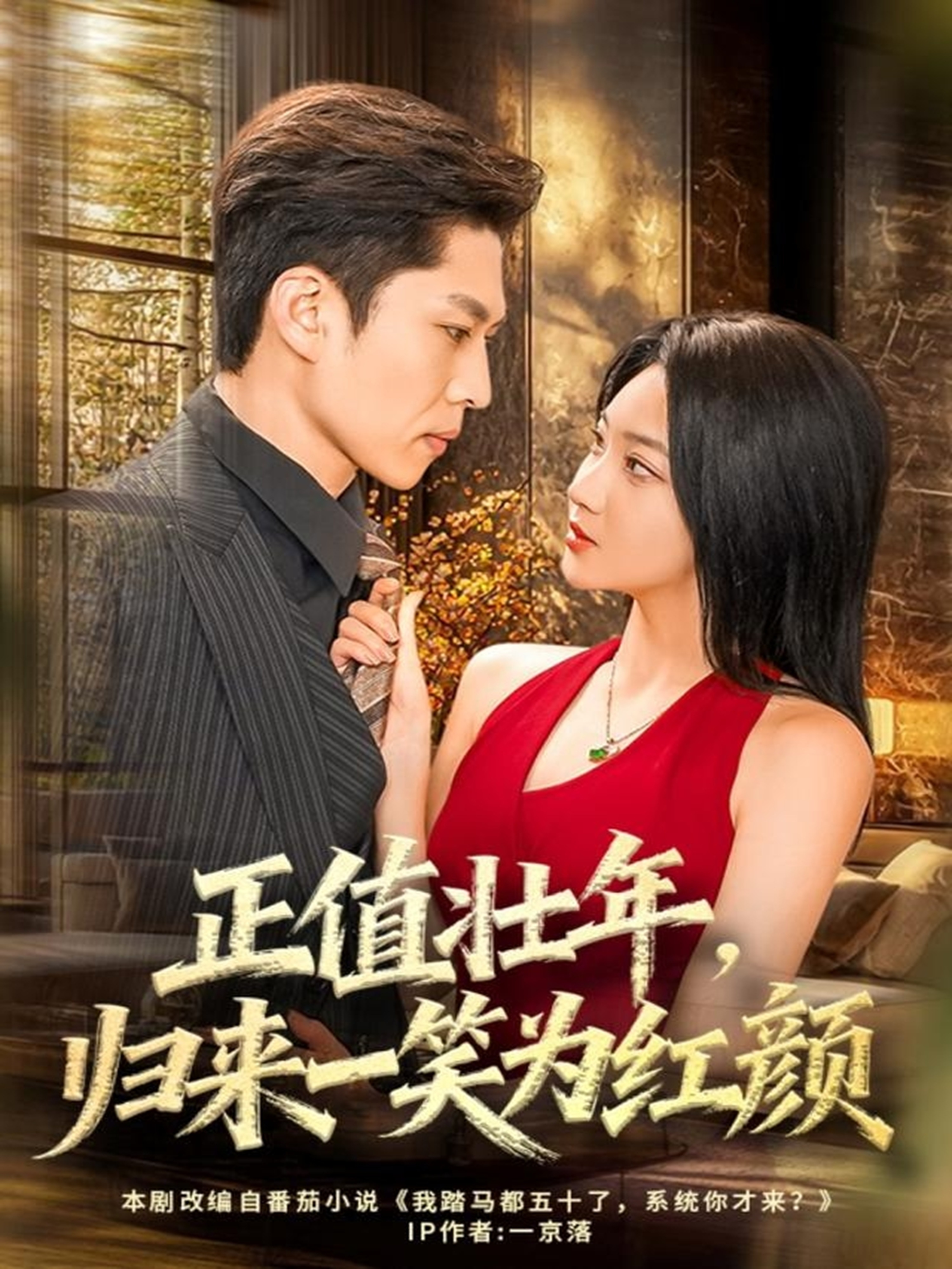 正值壮年归来一笑为红颜封面图