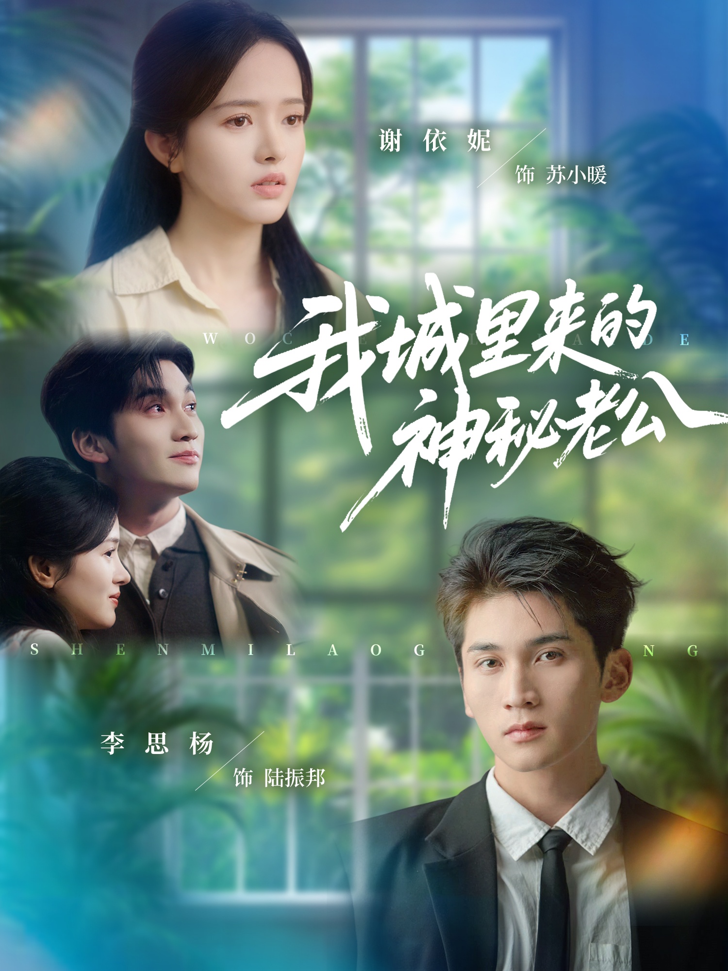 我城里来的神秘老公封面图