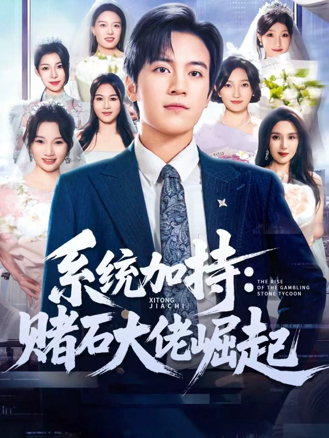 系统加持:赌石大佬崛起封面图