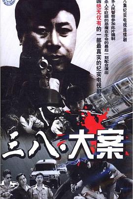 38大案封面图