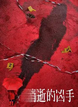 消失的凶手2026封面图