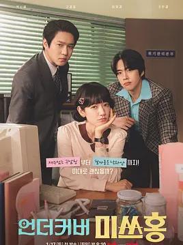 卧底洪小姐封面图