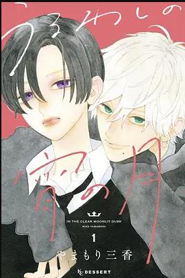 皎洁迎宵之月封面图