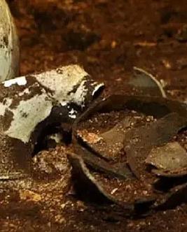 考古进行时封面图