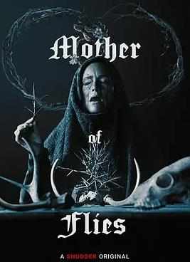 苍蝇之母封面图