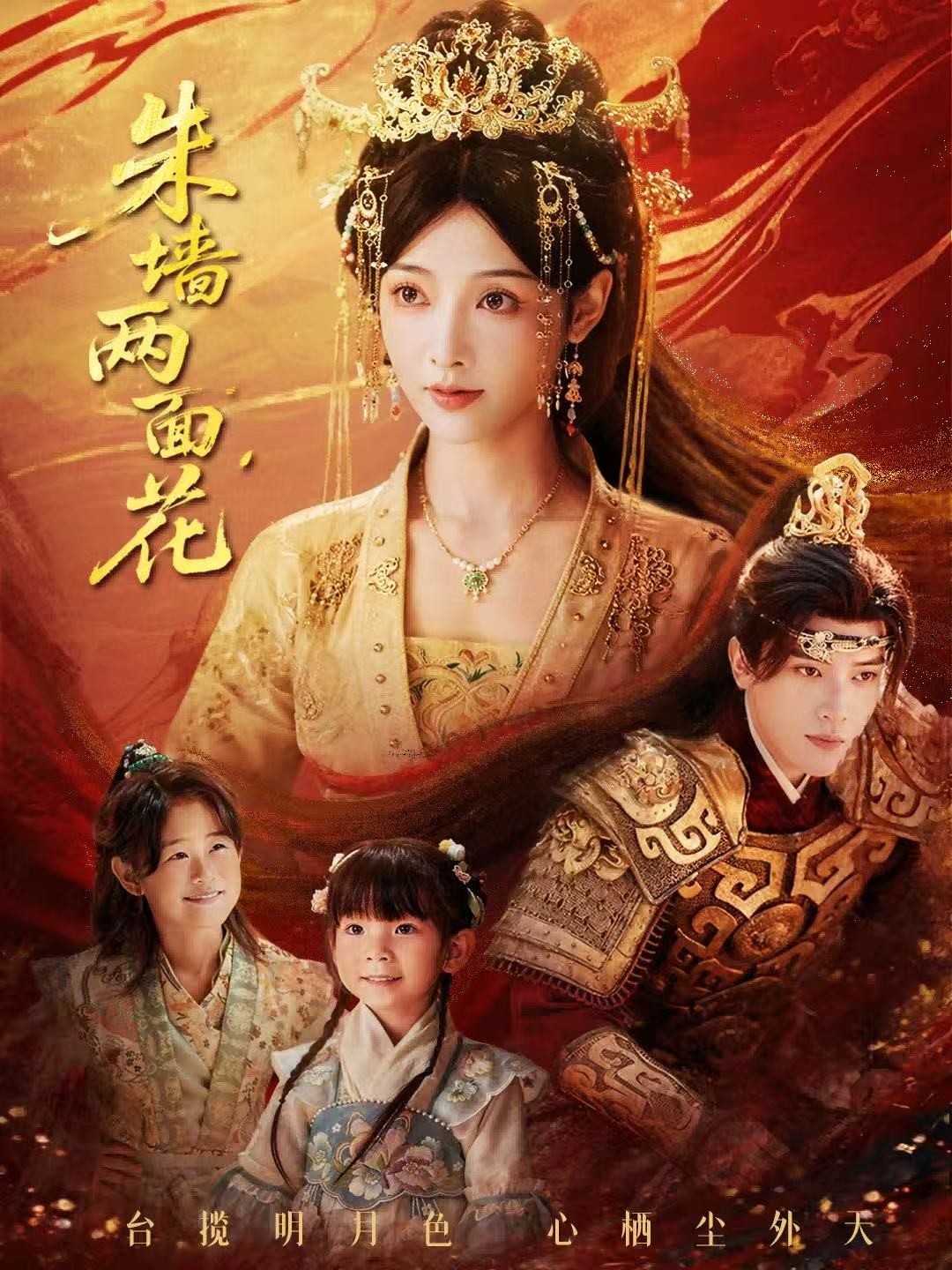 朱墙两面花封面图