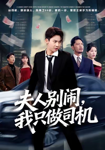 夫人别闹我只做司机封面图