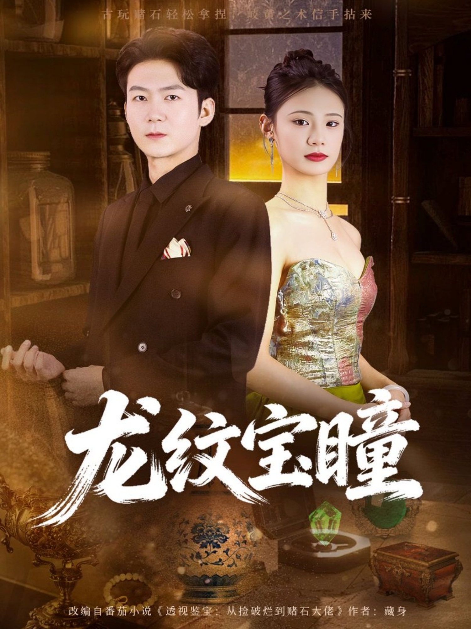 龙纹宝瞳封面图