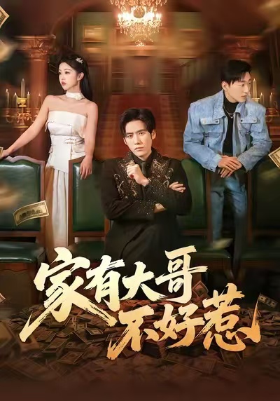 家有大哥不好惹封面图