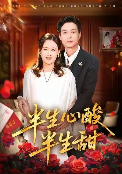 半生心酸半生甜封面图