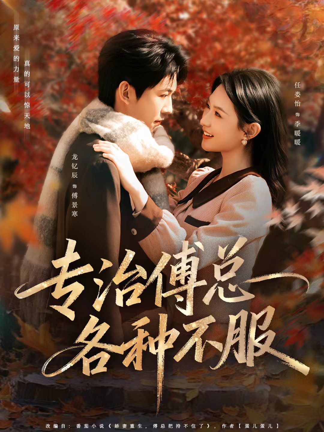 专治傅总各种不服高清在线观看 - 流云视界_轻科幻影视免费看，轻科幻轻奇幻片 + 韩剧番剧，美剧大片，动漫科幻，4K 蓝光，轻科幻解析片单