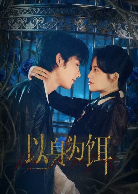 以身为饵封面图