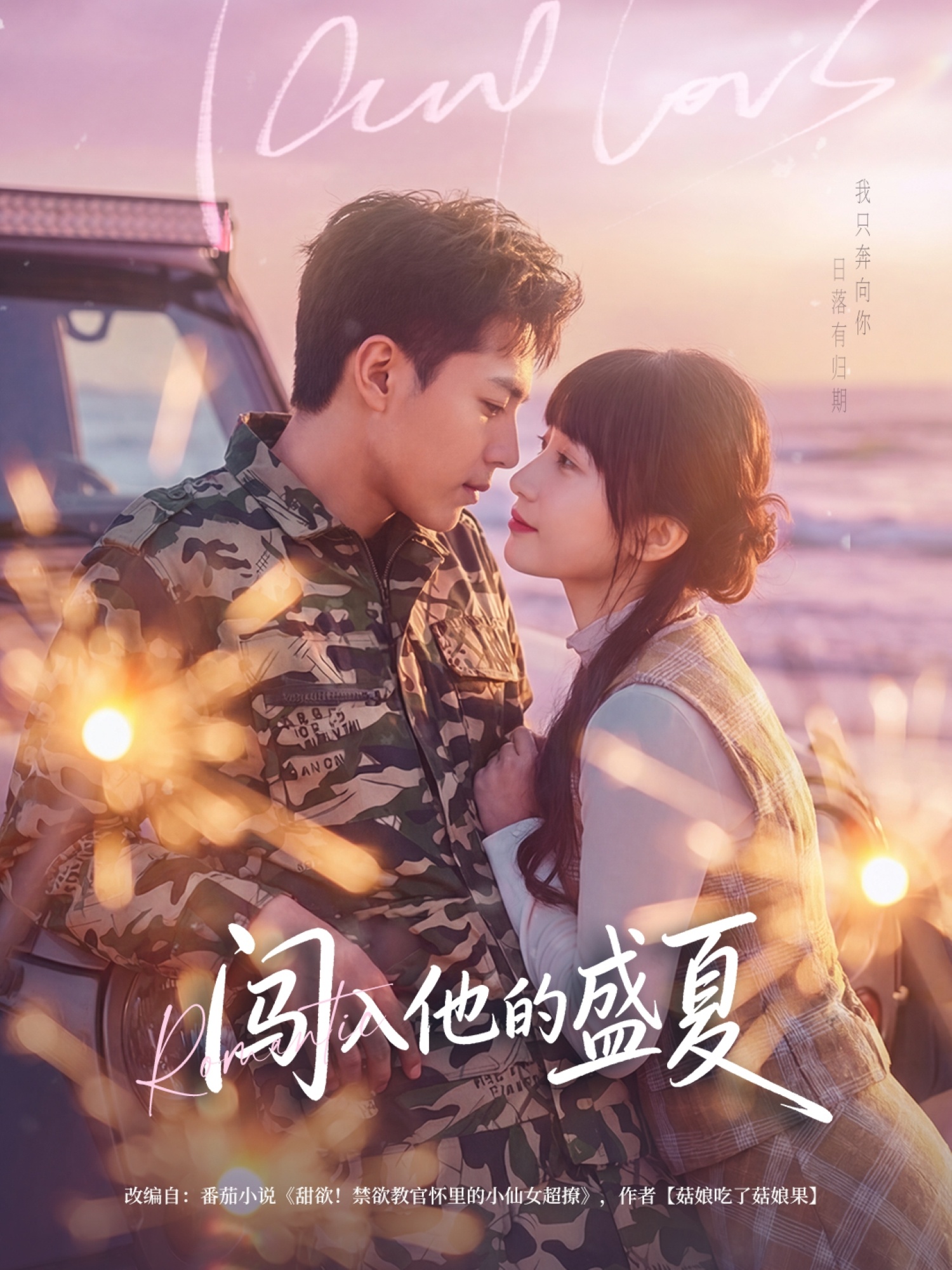 闯入他的盛夏封面图