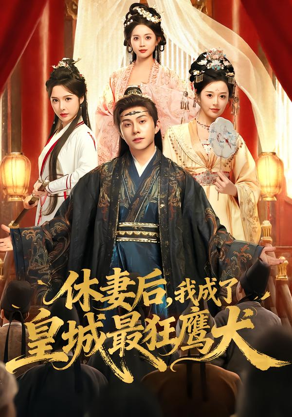 休妻后，我成了皇城最狂鹰犬封面图