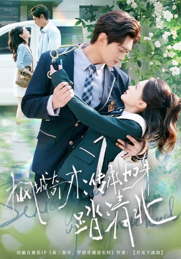 枫城奇才：传承加身踏清北封面图