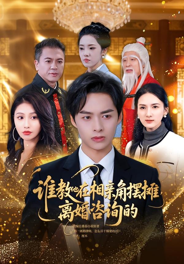 谁教他在相亲角摆摊离婚咨询的封面图