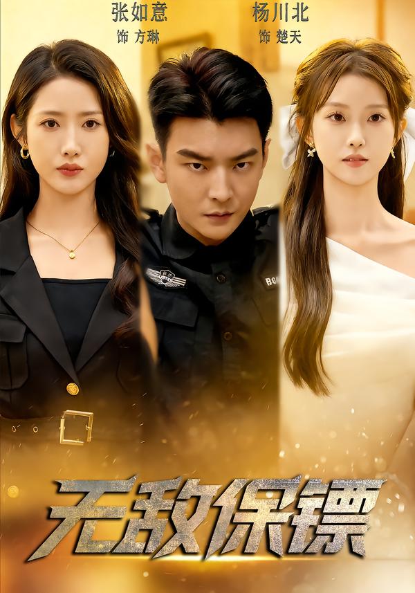 无敌保镖封面图