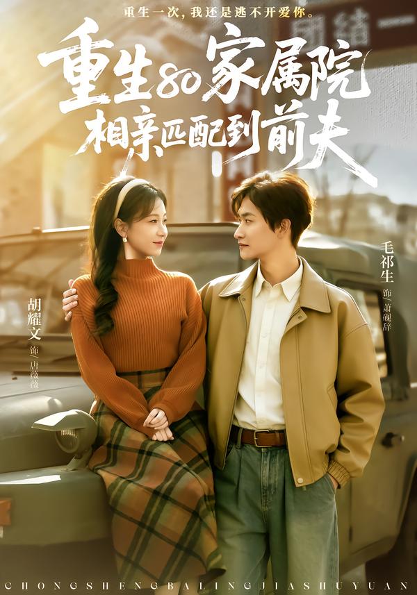 重生80家属院相亲匹配到前夫封面图