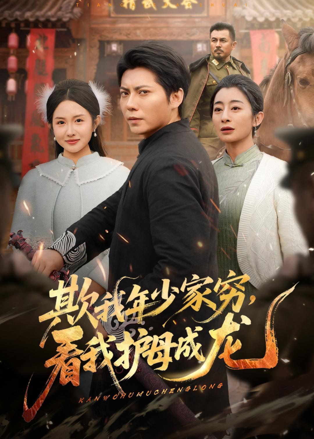 欺我年少家穷，看我护母成龙封面图