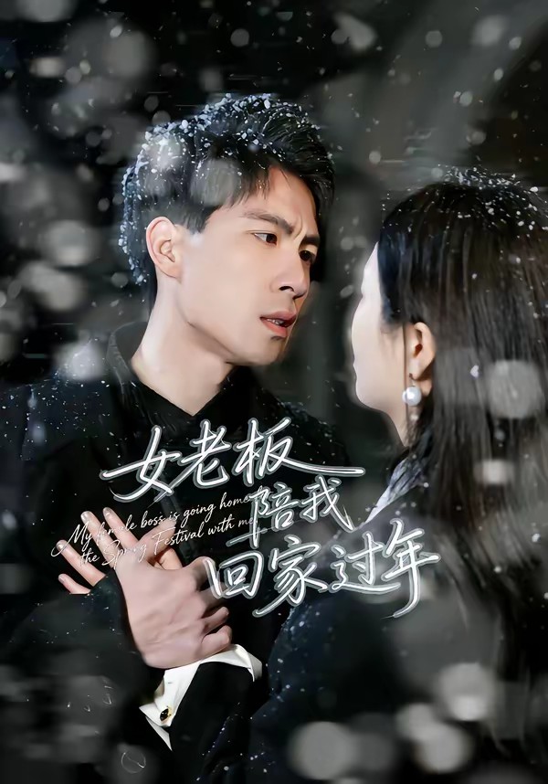 女老板陪我回家过年封面图