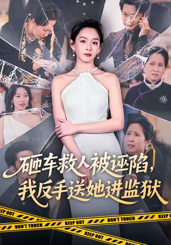 砸車救人被誣陷，我反手送她進監(jiān)獄