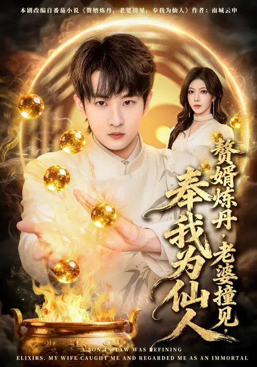 赘婿炼丹老婆撞见奉我为仙人封面图