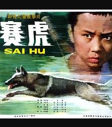 赛虎封面图