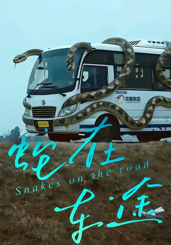 蛇在车途封面图