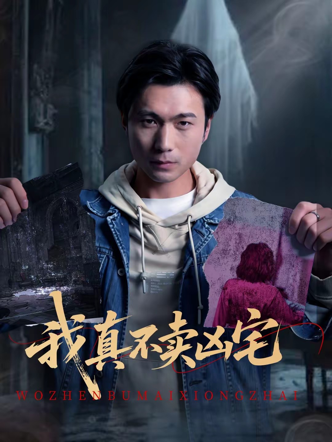 我真不卖凶宅封面图