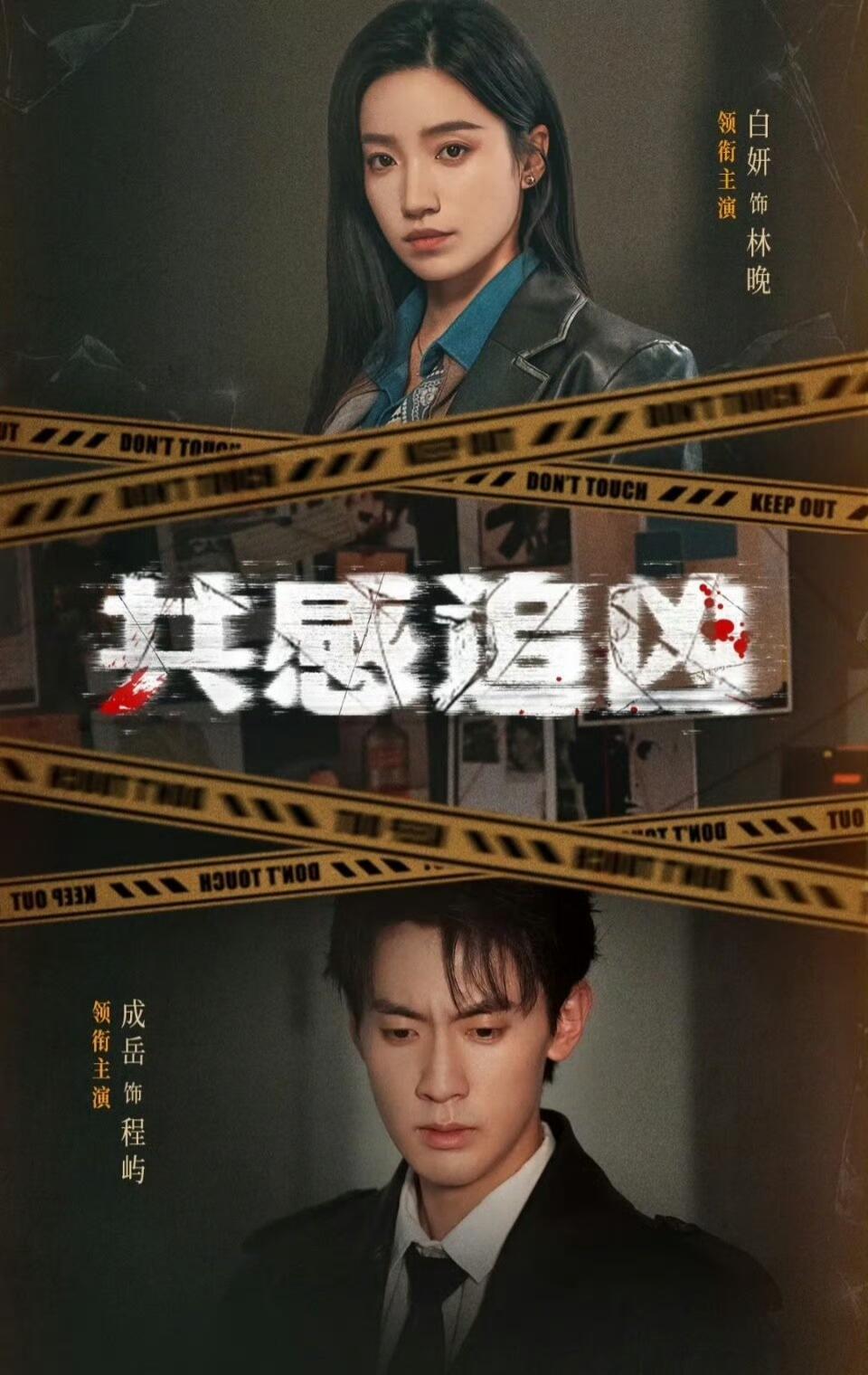 共感追凶封面图