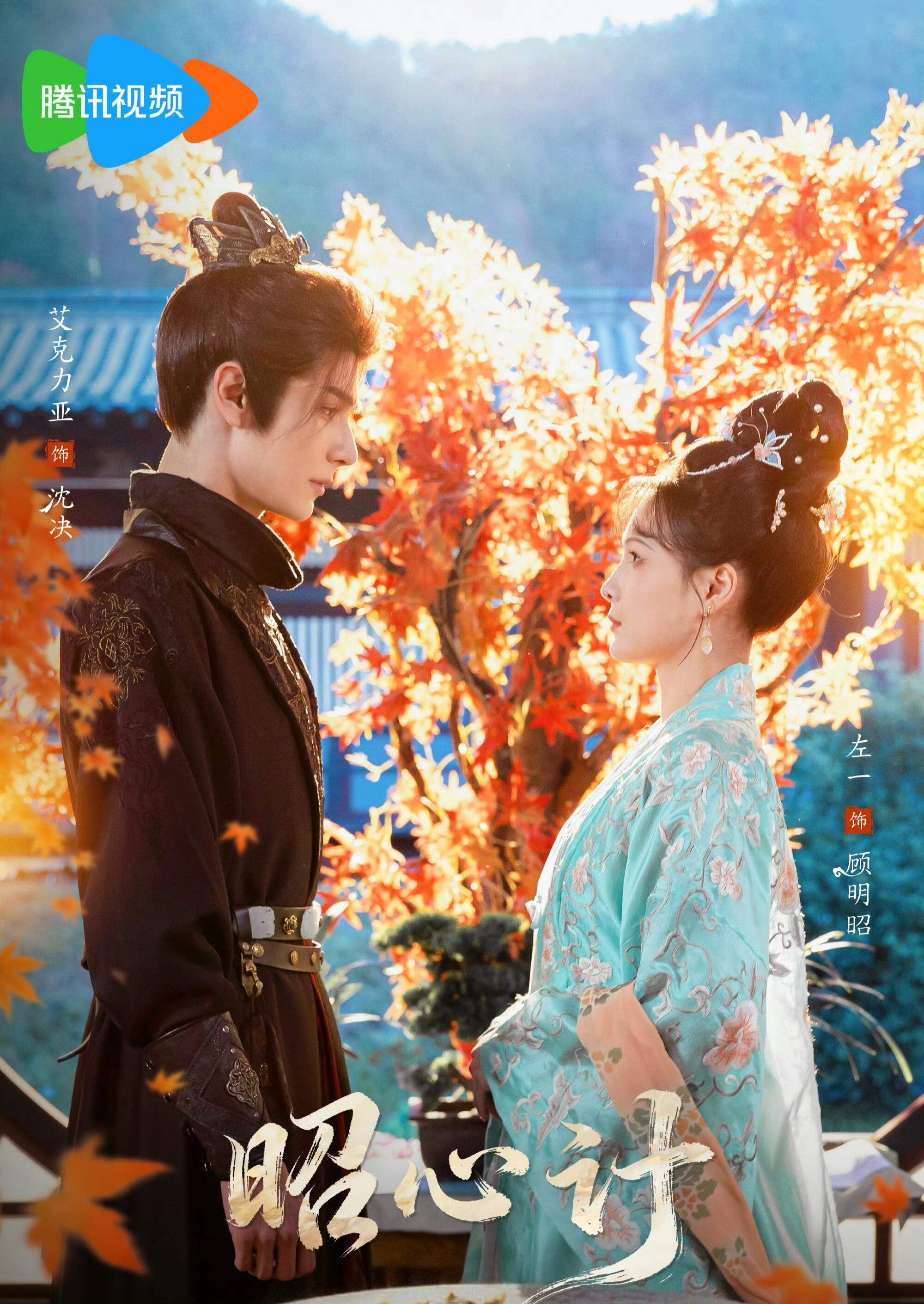 昭｜心计封面图